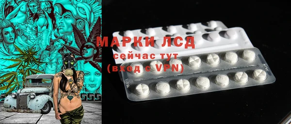 крисы Баксан