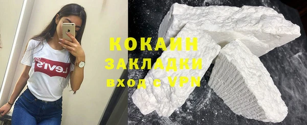 крисы Баксан