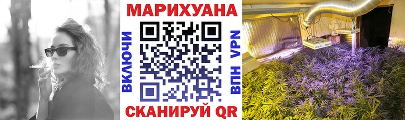купить  цена  Светлогорск  Бошки марихуана White Widow 